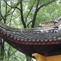 IMG_6606.JPG